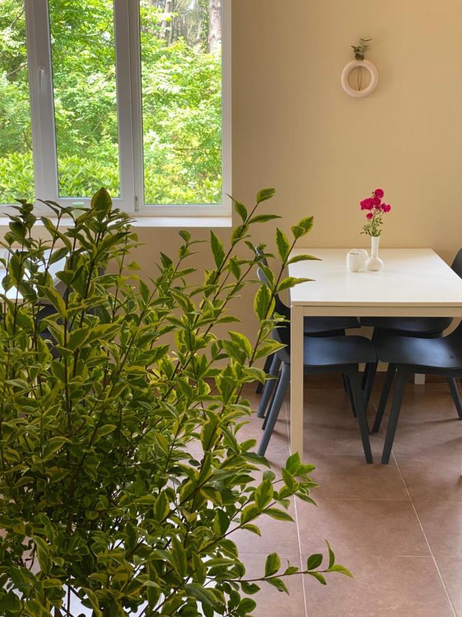 Buxus Hotel Shekvetili Eksteriør billede