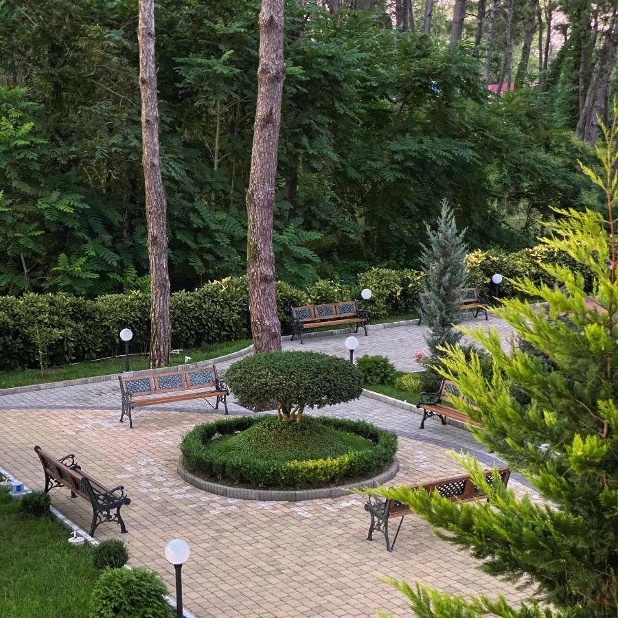 Buxus Hotel Shekvetili Eksteriør billede