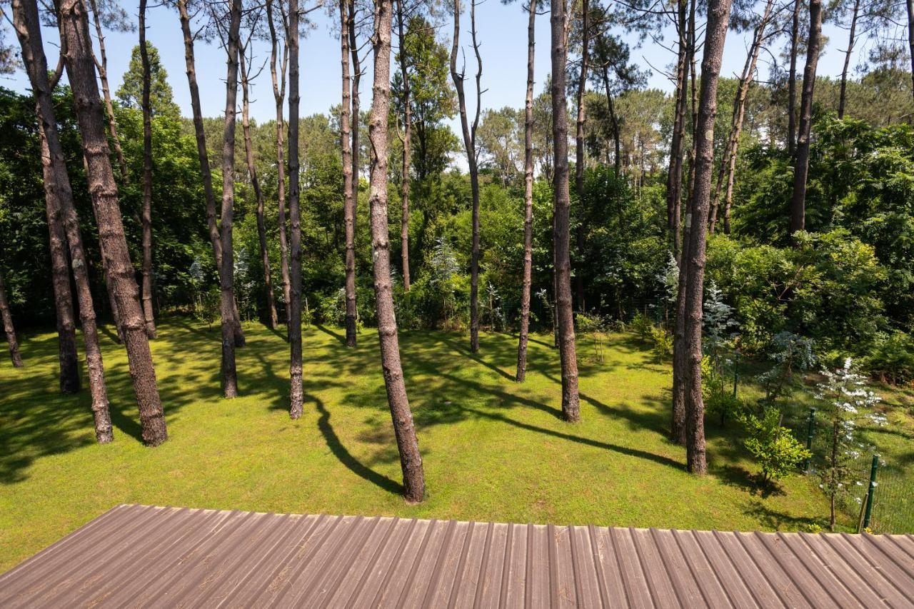 Buxus Hotel Shekvetili Eksteriør billede