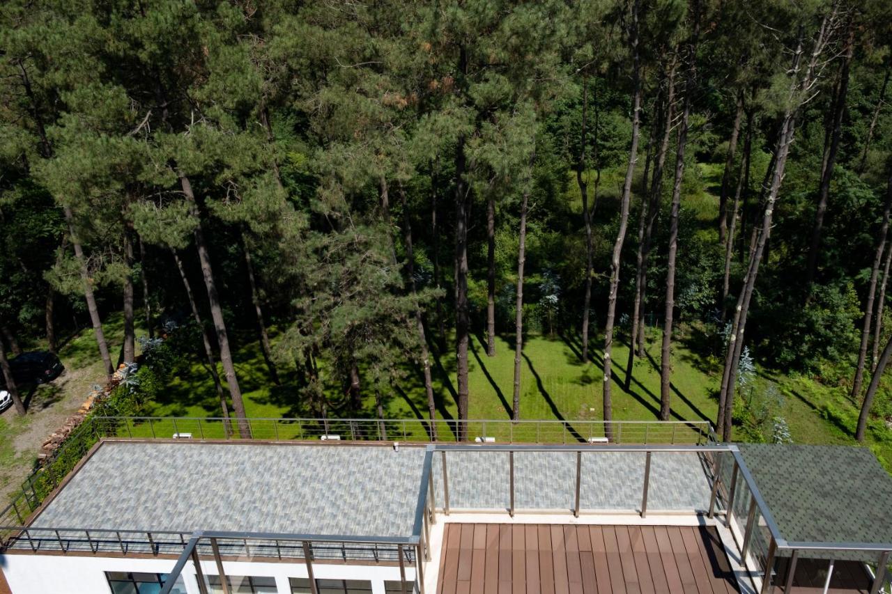Buxus Hotel Shekvetili Eksteriør billede