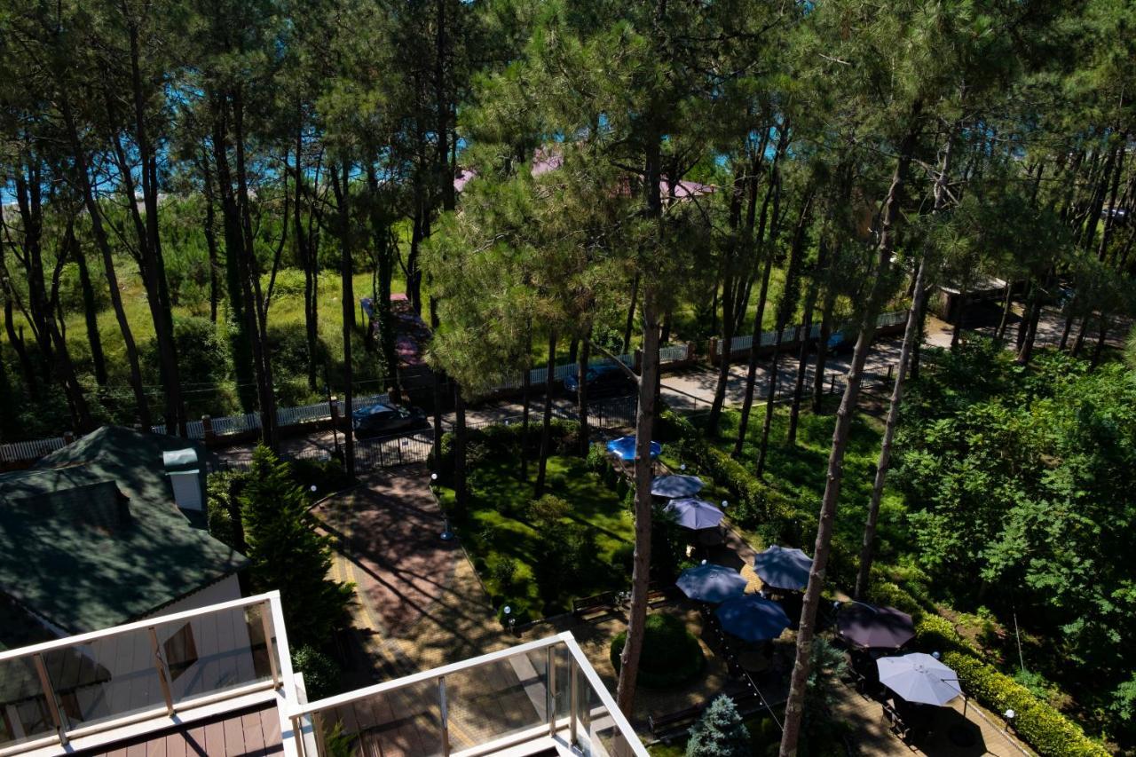 Buxus Hotel Shekvetili Eksteriør billede
