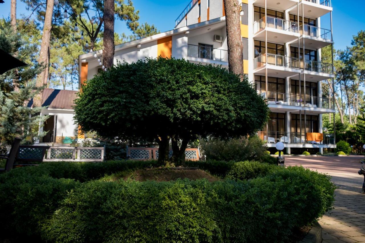 Buxus Hotel Shekvetili Eksteriør billede