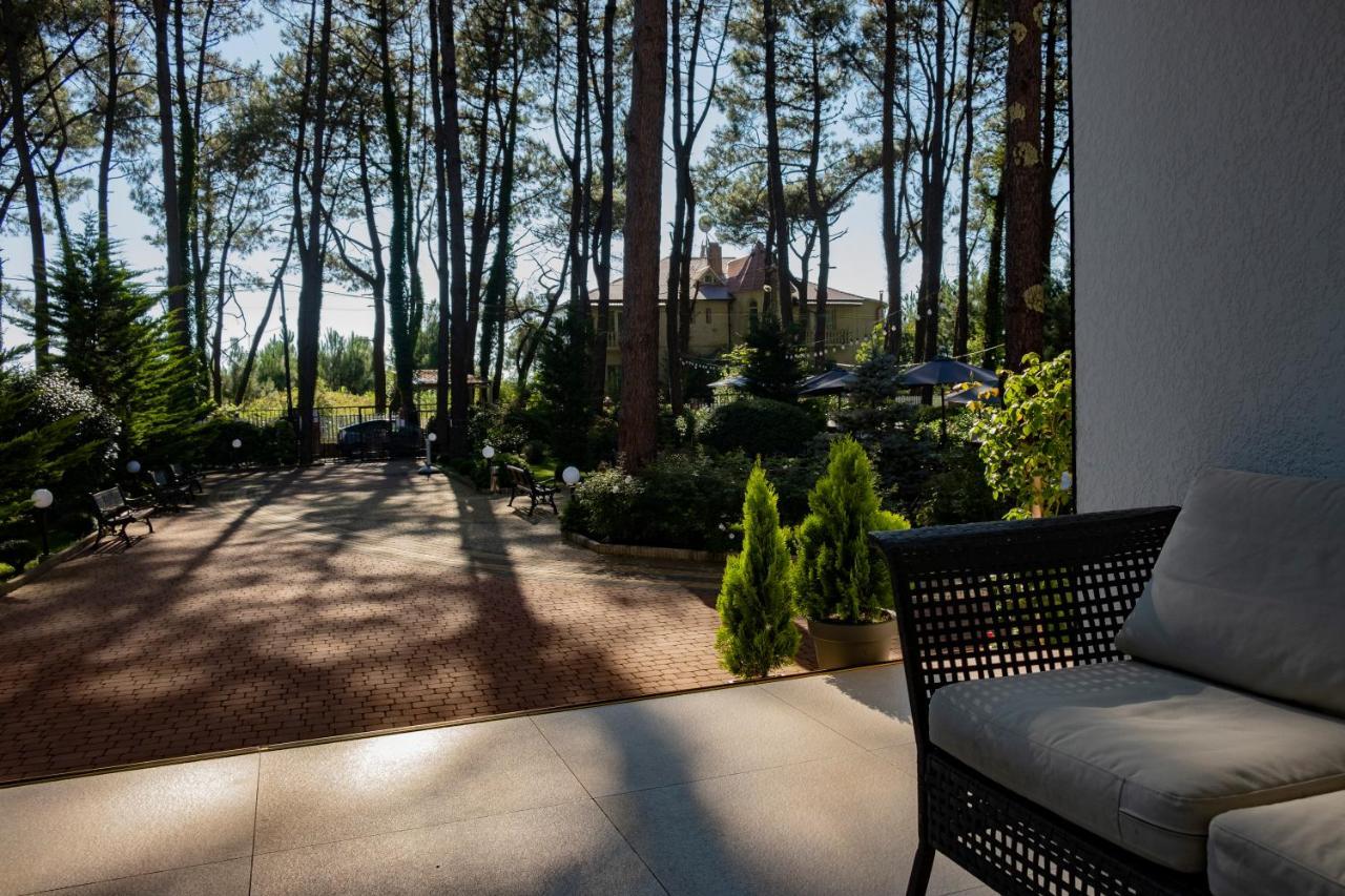 Buxus Hotel Shekvetili Eksteriør billede